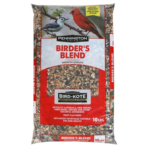 Classic Natural Oil Sunflower Seed Bird Food (10 pounds)