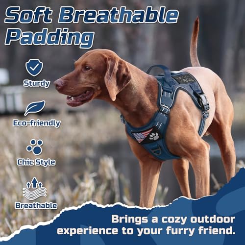 Tactical Dog Harness for Large (Blue / Large)