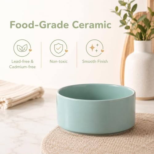 Ceramic Dog Bowls Elevated (Light Green)