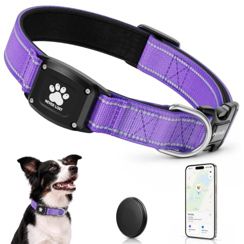 GPS Dog Collar with Tracker (Purple / XS(10.5''-13.5''))