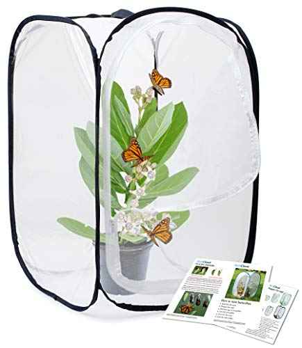 Insect and Butterfly Habitat Cage Terrarium Pop (White With Black / 15.7 x 15.7 x 23.6 inches)