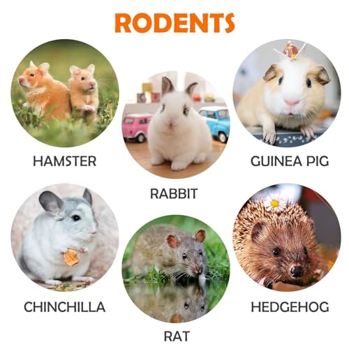 Rabbit & Guinea Pig Toys 16 Pcs Chew Grass Balls Natural Chews for Rodents