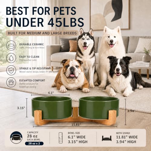 Ceramic Dog Cat Bowl Set with Stand (Rust Green / 850ML*2)