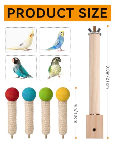 Bird Perch Toy