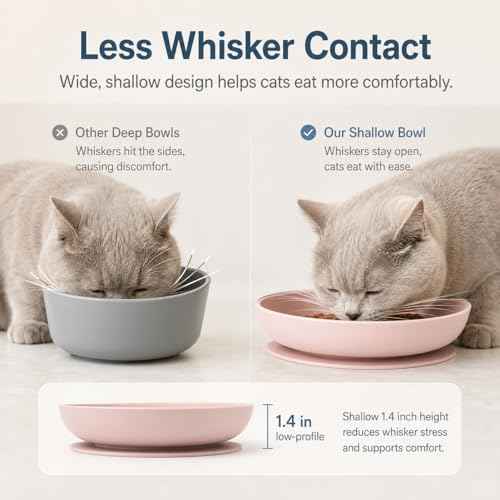 2 Pack Silicone Cat Bowls (SiliconeBowl-PinkBlueset)
