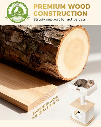 Small Cat Tree for Indoor Kittens (Ash Wood Finish / Small)