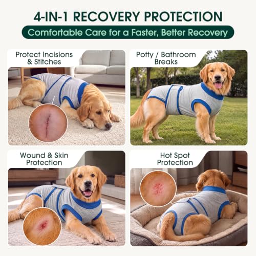 Recovery Suit for Dogs Cats (X-small (Back:8.3-11.4'', Weight:4-7 Lb) / Gray Sapphire)