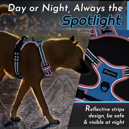 Dog Harness for Small Dogs (Small / Pink & Sky Blue)