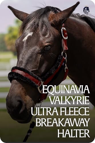 Valkyrie Ultra Fleece Padded Leather Fuse Breakaway Horse Halter (Wine Red/Black / Cob)