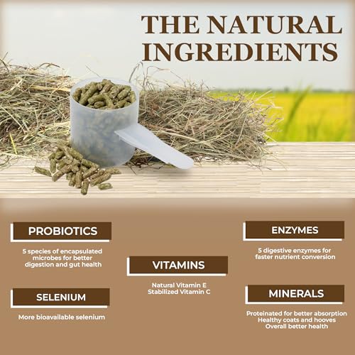 Economy Equine Supplement (10 Pound (Pack of 1))