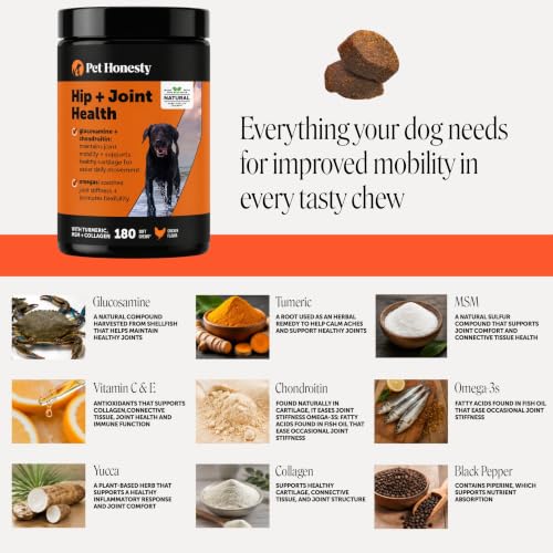 Vet Recommended Hip and Joint Supplement for Dogs (180 Count)