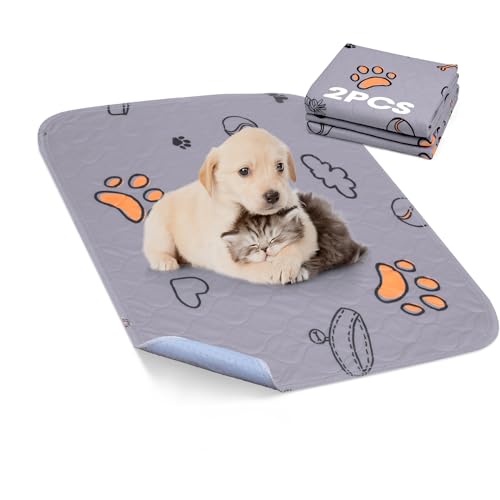 Washable Pee Pads for Dogs (Purple / 18X24 (2 Packs))