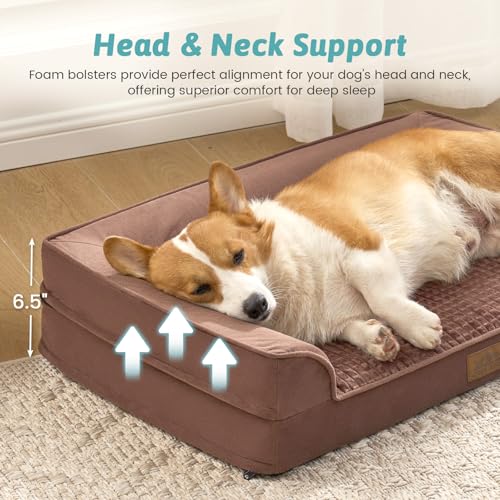 Orthopedic Dog Bed for Large Sized Dogs (Brown / L:36x27x6.5 inch)