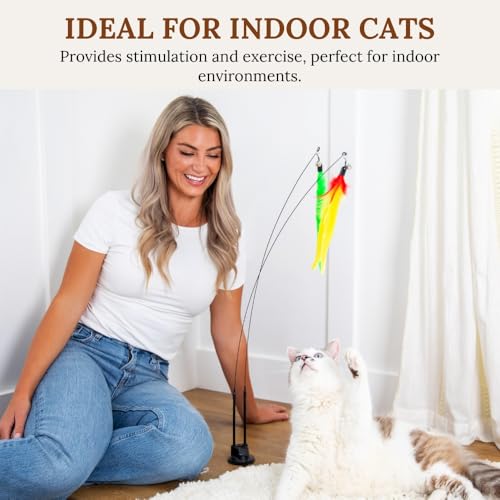 Cat Toys for Indoor Cats (Meow Motion Bundle)