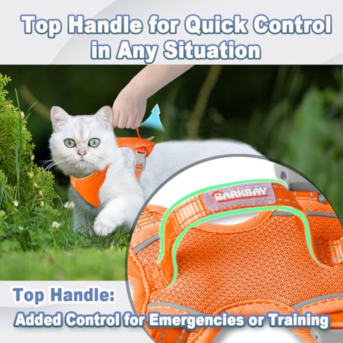 Cat Harness and Leash Set Escape Proof for Kitten Walking (XX-Small / Orange)
