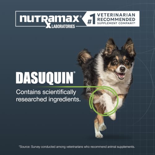 Nutramax Dasuquin Joint Supplement for Large Dogs (Large Dog 84 Count)