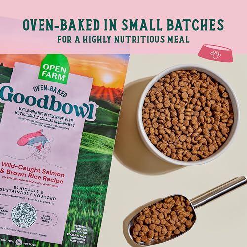 Goodbowl Wild Caught Salmon Dry Dog Food (22 Pound (Pack of 1))