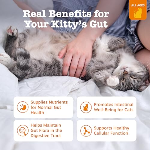 Digestion Cat Mousse