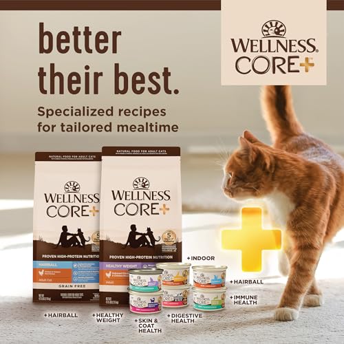 CORE+ Immune Health Pate Adult Wet Cat Food (2.8 Ounce (Pack of 12))