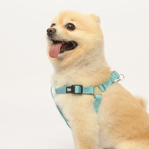 No Pull Dog Harness Small Sized Step (Light Blue / X-Small)