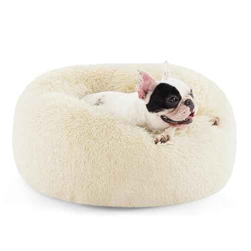 Calming Small Medium Dog Bed Donut Washable Puppy Bed (27"L x 27"W x 8"Th / Ivory Beige)