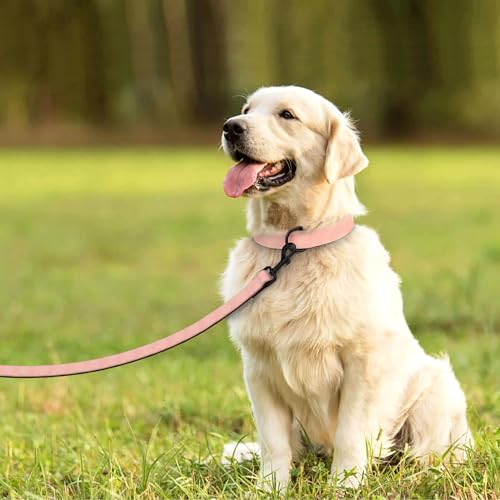 PU Leather Dog Collar and Leash Set (L: Neck 14-18", Width 1" / Pink Set)