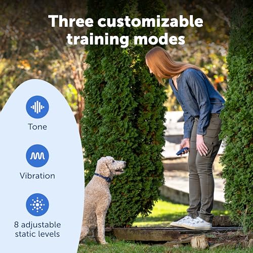 Basic Dog Trainer with Remote (Basic Trainer)