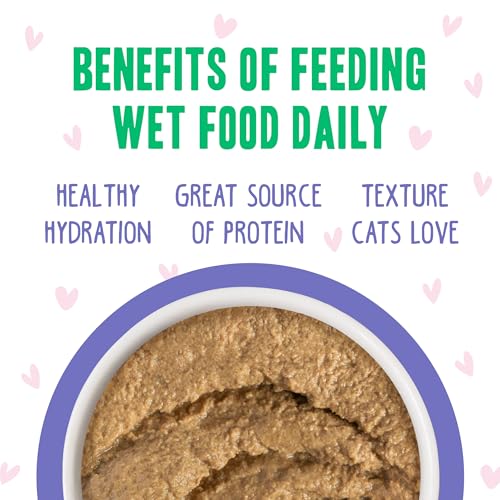 B.F.F. Play Best Feline Friend Paté Lovers (3 Ounce (Pack of 12))