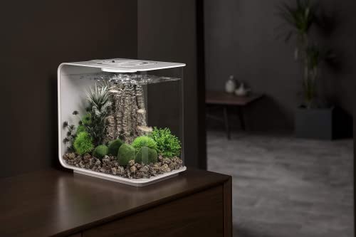 Flow 15 Acrylic 4 (4 Gallon / Black with MCR Lighting)