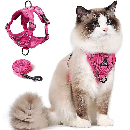 Cat Harness and Leash Set (Pink / S)