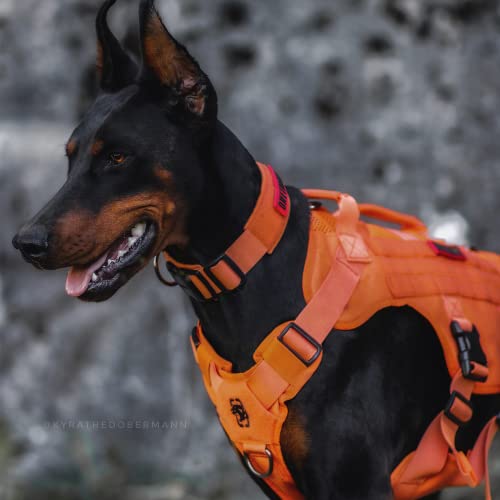 Mesh Design Tactical No Pull Dog Harness for Large Dogs (Orange / XL)