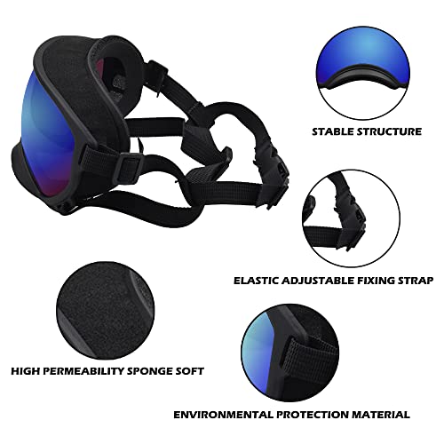 Large Dog Sunglasses