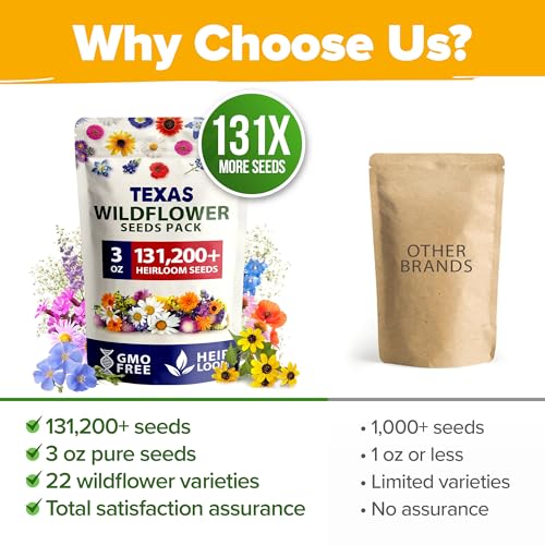 Texas Wildflower Mix 131