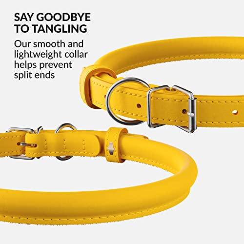 Tangle Free Rolled Leather Dog Collar
