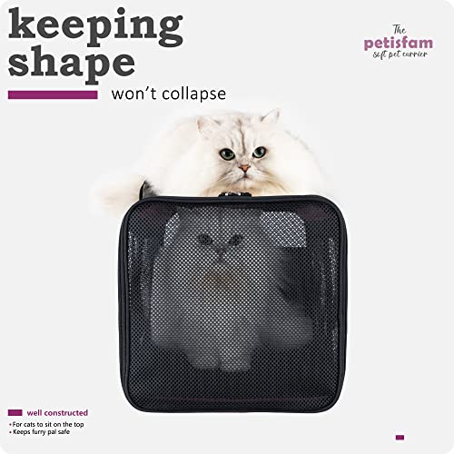 Soft Pet Carrier for Large and Medium Cats (Viva Magenta)