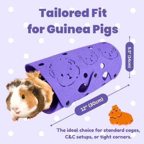Guinea Pig Tunnel (Purple)