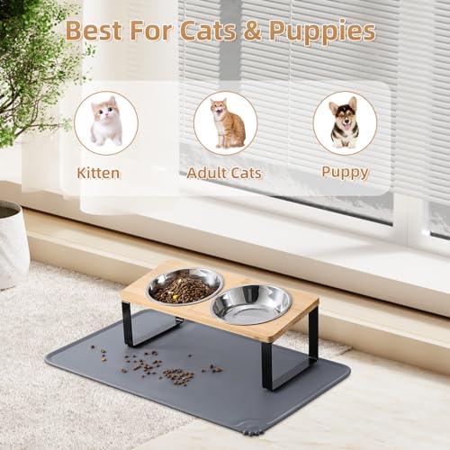 Upgraded Elevated Cat Bowls with Food Mat
