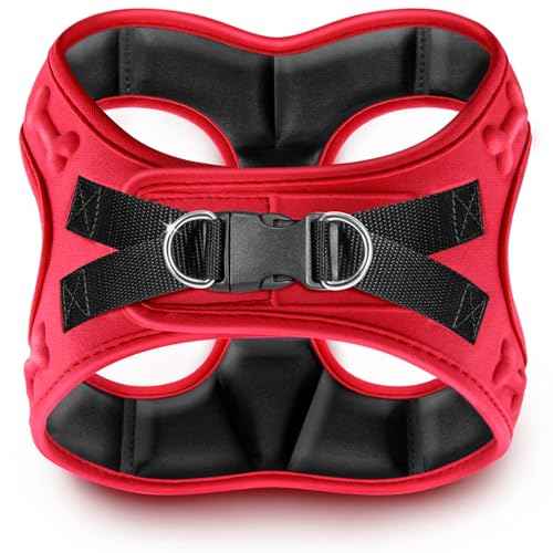 Comfort fit Step (M (Chest 17"-18.5") / Red)