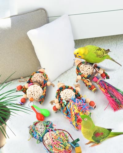 Conure Toys 4 PCS Bird Parrot Foraging Shredder Hanging Toys Sola Balls with Sand Hammer for Small Parrots Parakeets Conures Cockatiels Love Birds Cage Toy (4 PCS)