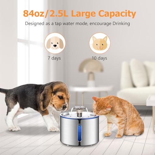 Cat Fountain 84oz