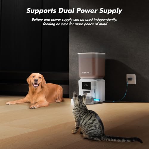 Automatic Cat Feeder (Pure White)