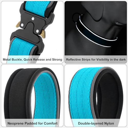 Tactical Dog Collar (M / Cyan)