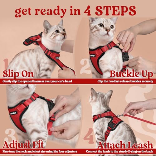 Cat Harness and Leash Set (M / Red)