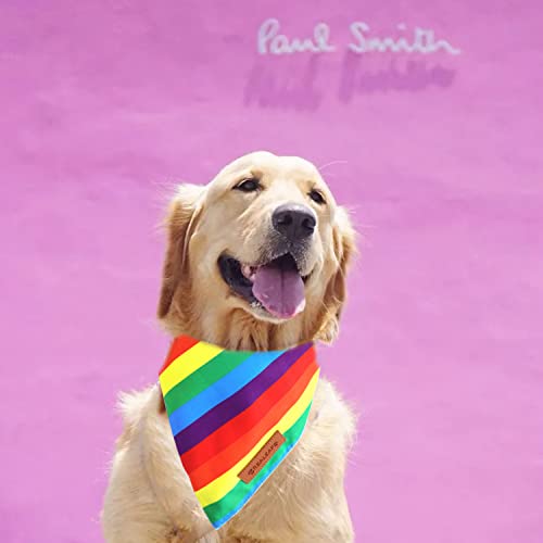 Pride Dog Bandanas 2 Pack (Pride Day / Large)