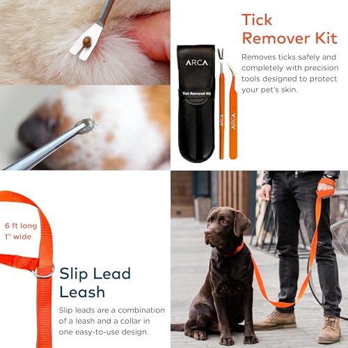 Cat & Dog First Aid Kit (CarePlus Kit)