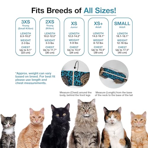 Cat Recovery Suit Female and Male (Blue / XSmall+)