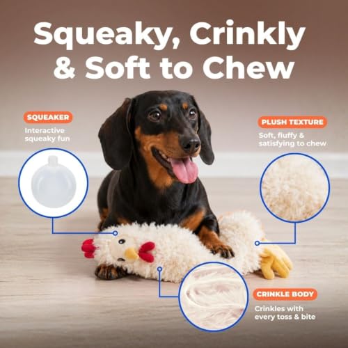 Interactive Squeaky Dog Toy (Crinkle Chicken (Beige) / Large)