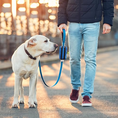 Dog Poop Bag Holder for Leashes and Treat Holder with 2 Waterproof Pouches (Black)