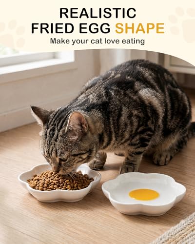 3 Pack Ceramic Cat Food Bowls