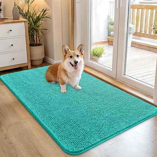 Dog Door Mat for Muddy Paws 45x27 (Teal / 45" X 27")